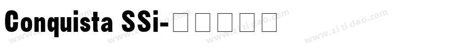 Conquista SSi字体转换